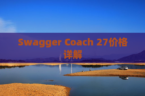 Swagger Coach 27价格详解